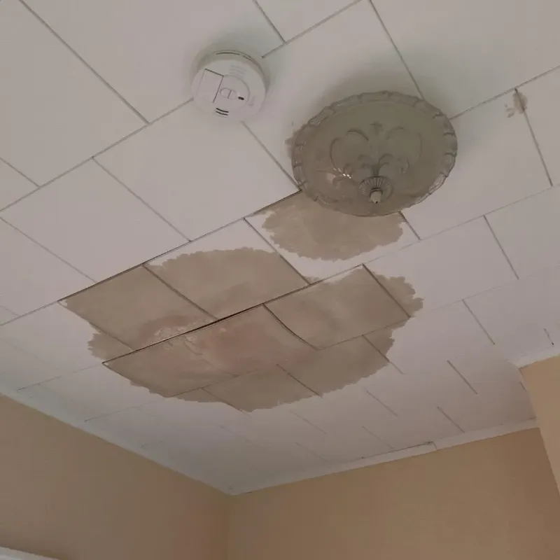 Ceiling Water Damage Repair in Lake Barrington, IL
