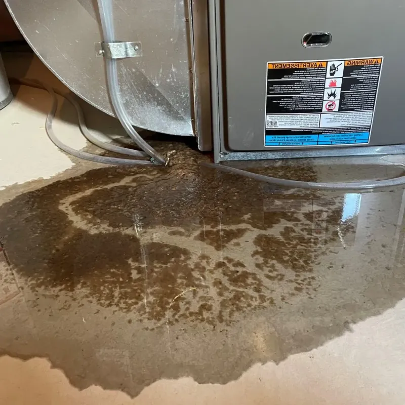 Pipe Burst and Leak Restoration in Lake Barrington, IL