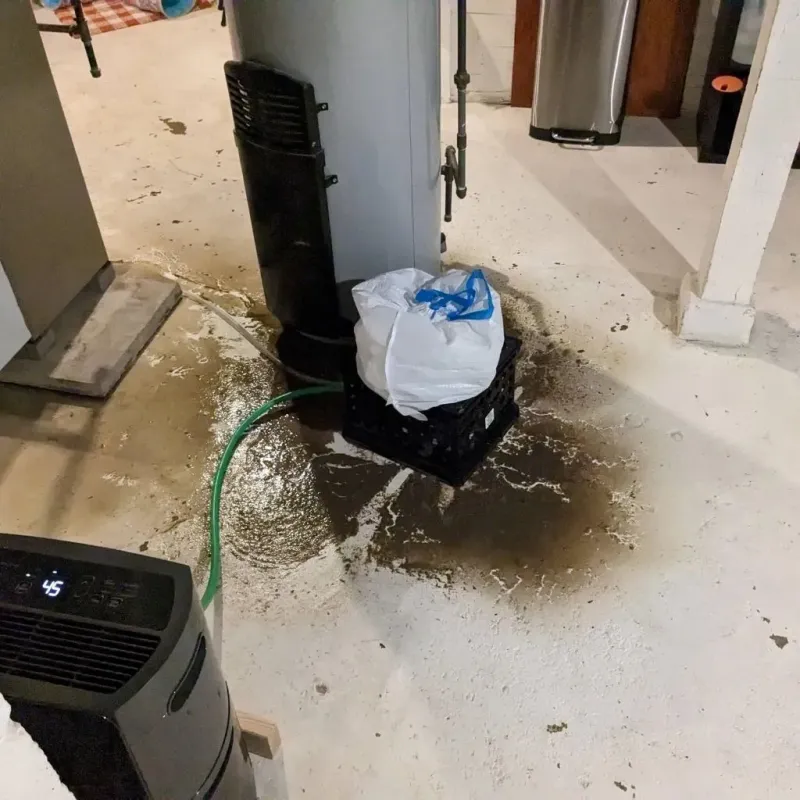 Sewage Backup Cleanup Service in Lake Barrington, IL